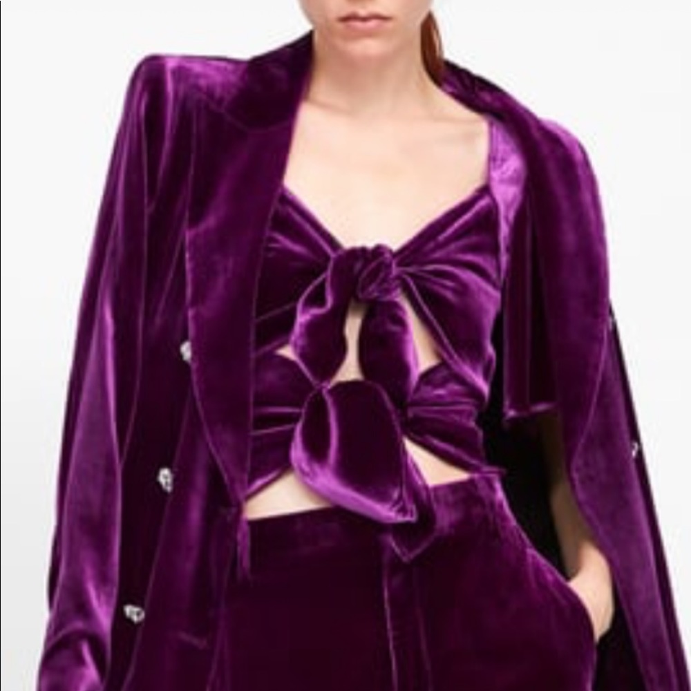 Zara velvet crop top purple